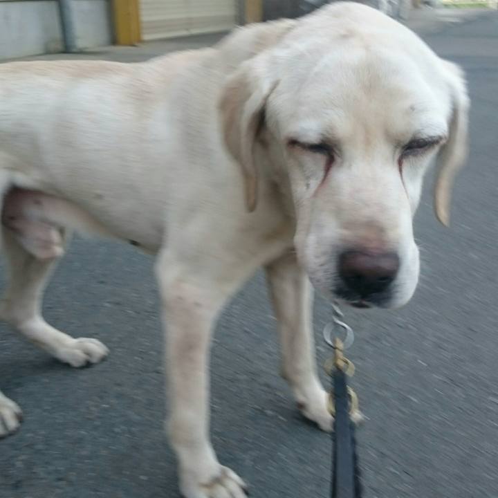 3886ce6b bd45 45ba 96fe b754283a4ff1