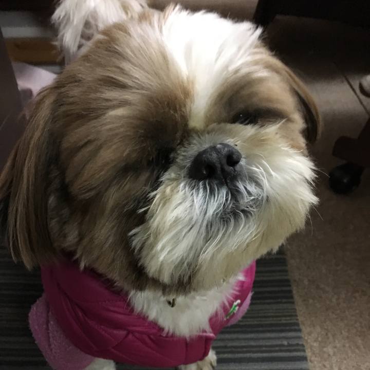 38876c01 3b1c 43a6 8476 06f4dd5d4d69