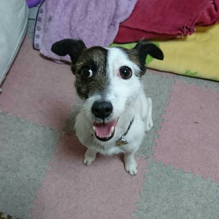 3887f156 a4b5 4ce1 9d69 54fc0108fab0