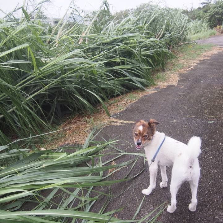 3888ea51 c6a4 4ea1 9e8d e738a1ebb670