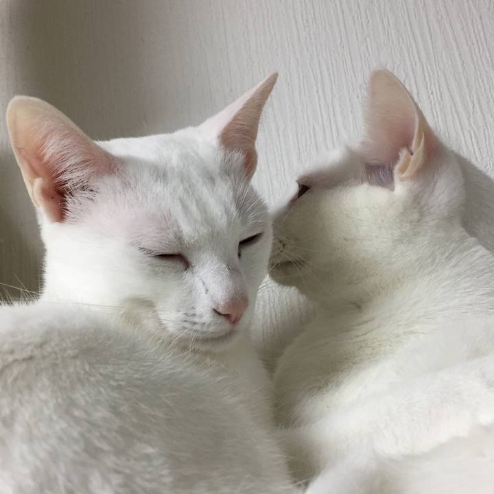 38894d16 0bf2 4c93 b0fc 9c60aaa7ae9a