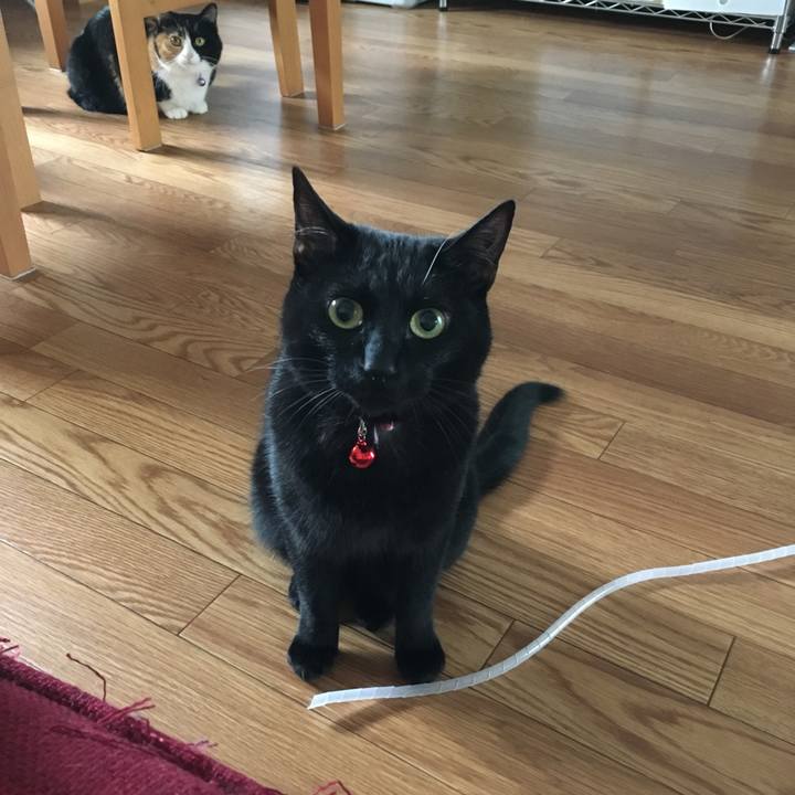 38899637 2167 4574 96e9 20b39c59381e