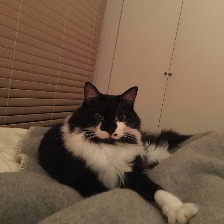 3889c705 9c54 4990 bdb4 9694e90a7882