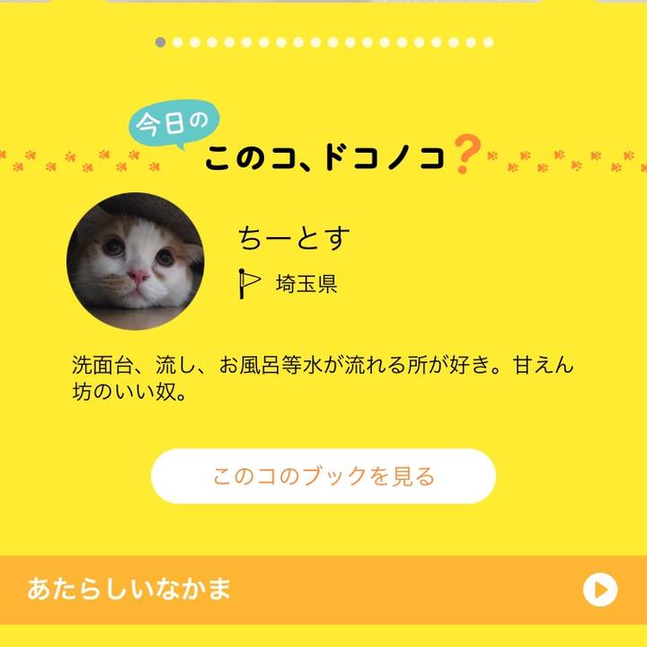 3889cb1f 5df0 409e 8c12 49cb09200ee9