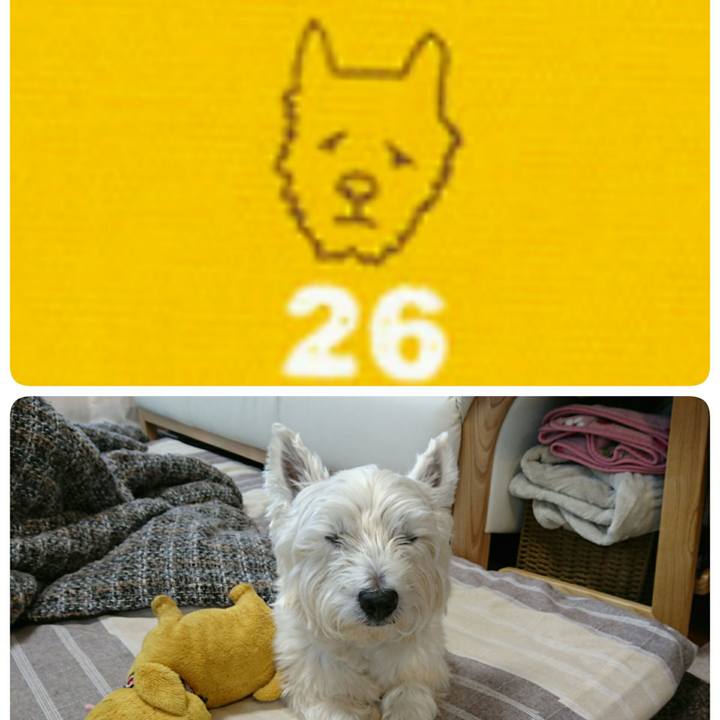 3889d530 741f 44da 9113 e54e59117de7