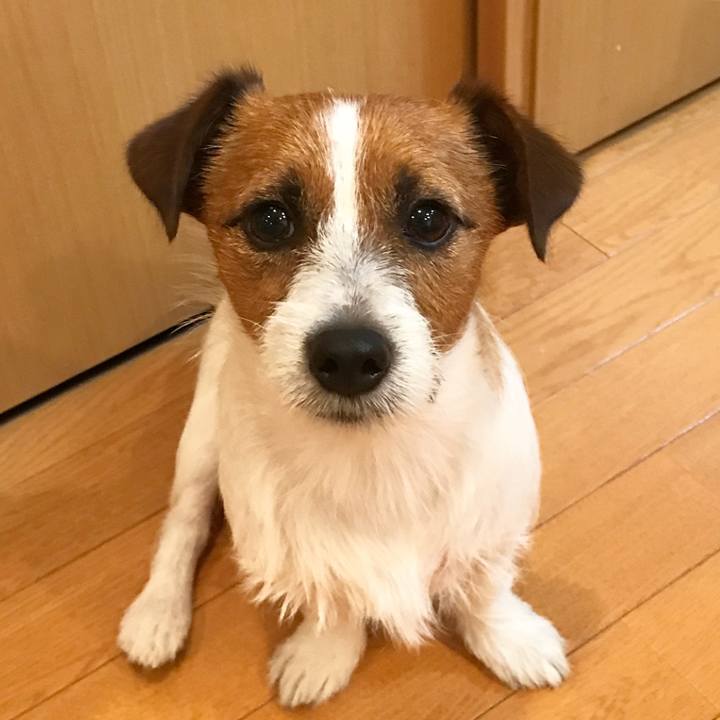 388a09c8 072b 4eb3 8aab 71dc8b84ba63