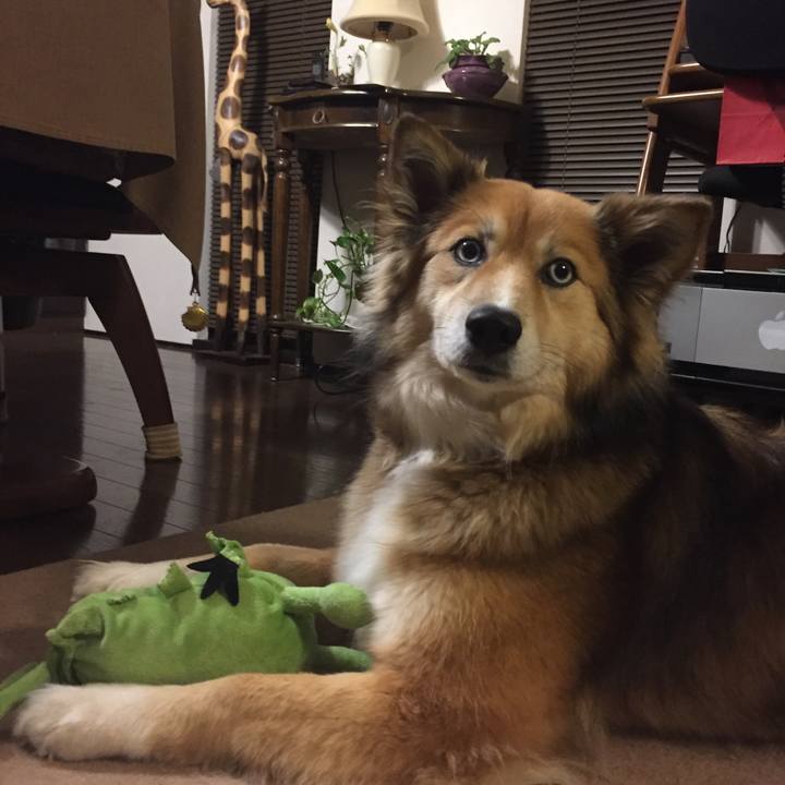 388a6308 74f1 46f6 94ff 0b606ee8e006