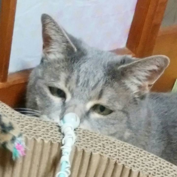 388a8f3c 830c 4463 aea5 775330d1fea6