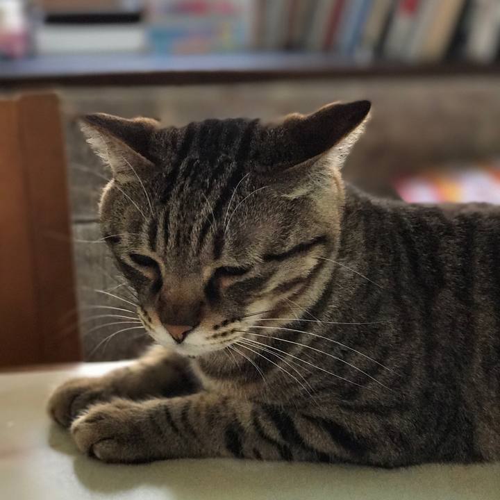 388afc89 f5bf 4a67 9c47 dc59e9e72a8b