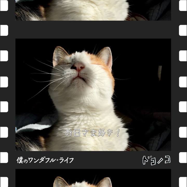 388b1887 a9b9 4faf 8cdb 71b5906b9b3a