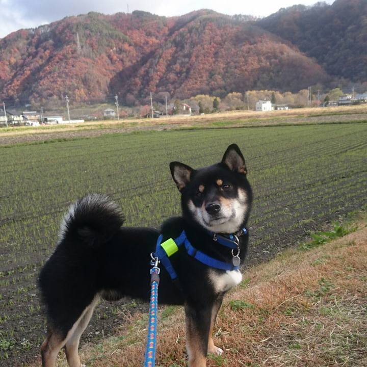 388b6539 b408 4ef7 bcba c8c14445bc13