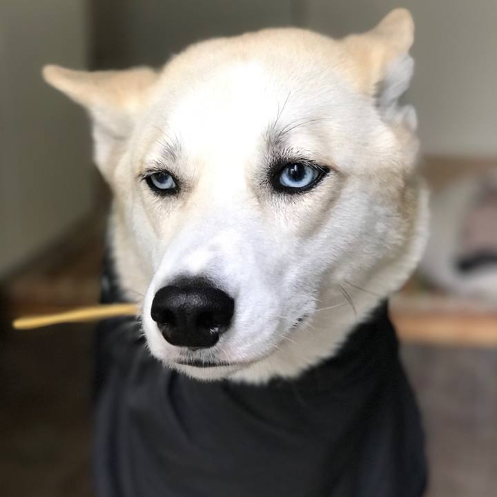 388b6cf4 aa04 48f2 8833 51c6e332c71f