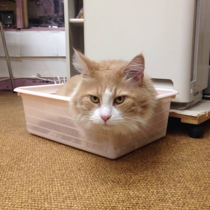 388c036b 1cdc 40d0 b708 6e72adfc8d8a