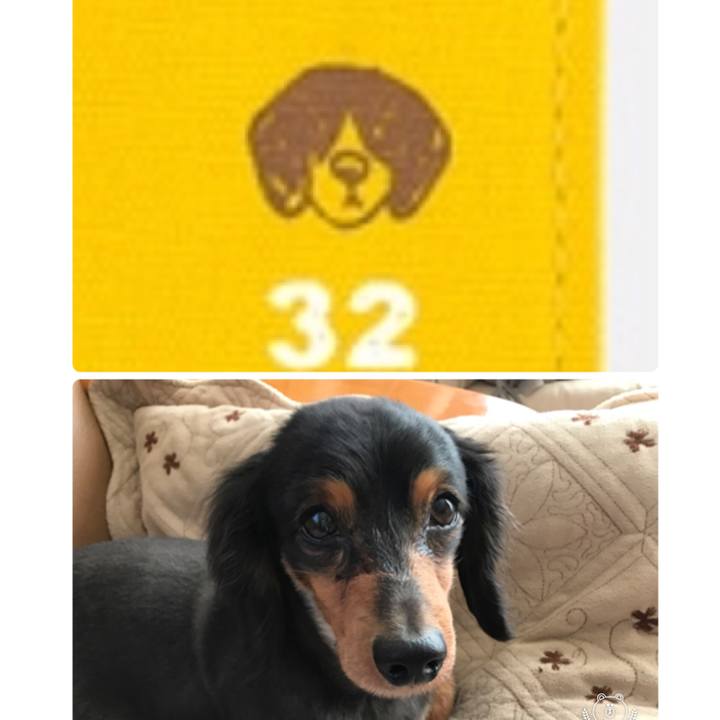 388cd75c 81b6 423c a293 2757758d683b