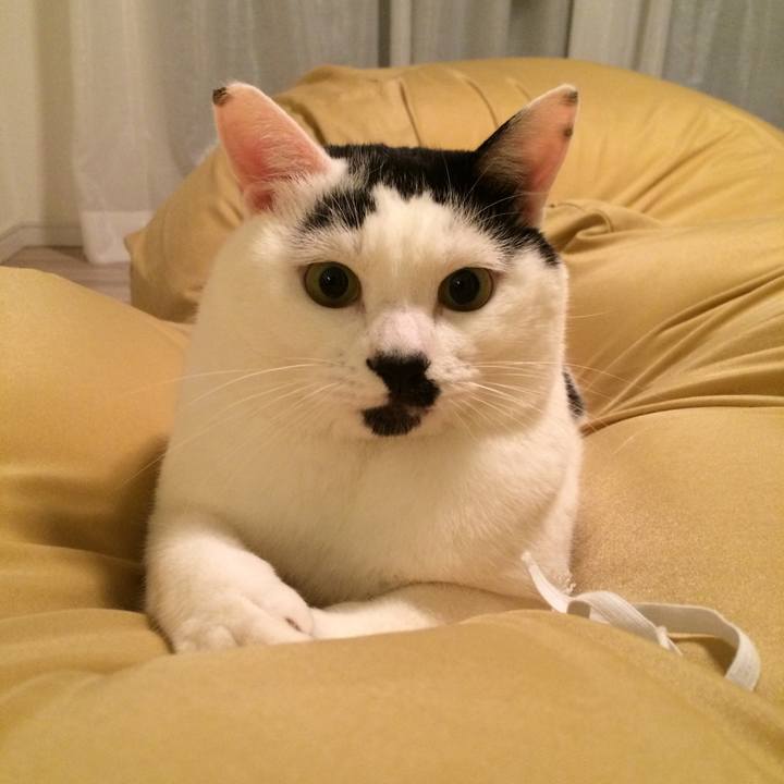 388d66f6 962c 43ed 8304 91831c473efe