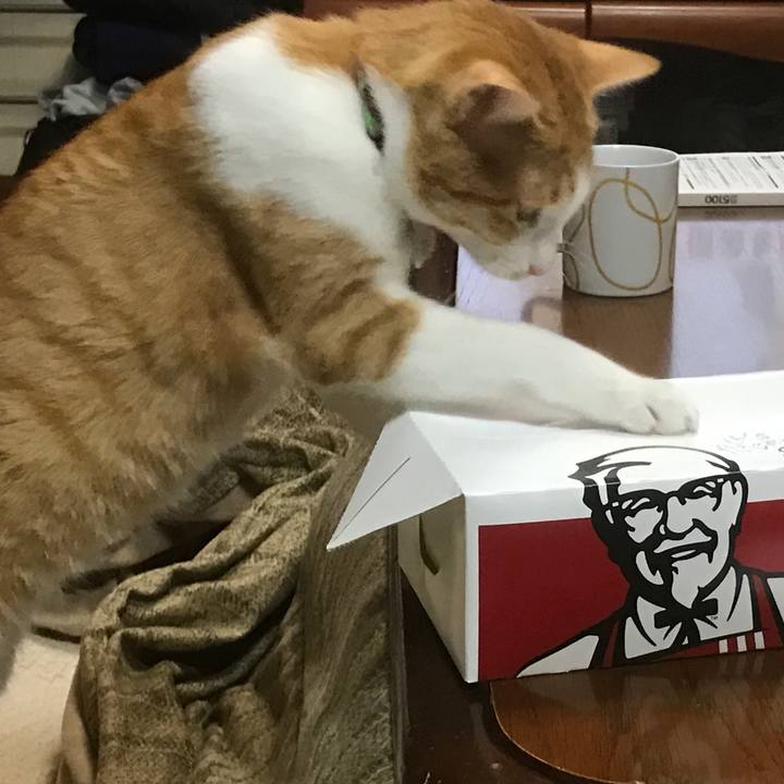 388da2ef cfdb 48c3 ae10 a2c5122055c5