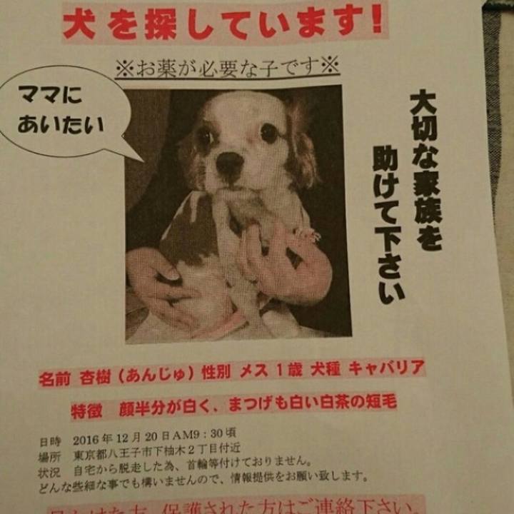 388db844 ac1c 4eea 9223 be1b4070ceaa