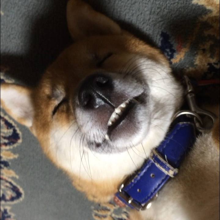 388ddc02 4957 437c b9be 4cfbbaaf49b7