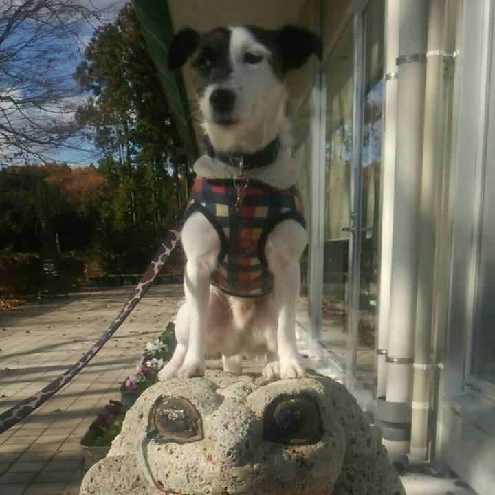 388fb0db 23e5 42ee be0b bcc478e9c1dd