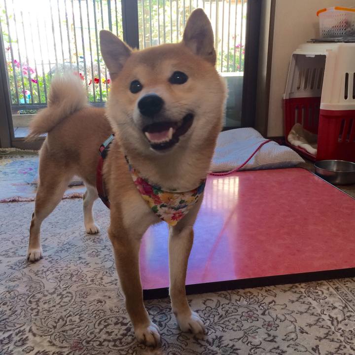 388ff5db 7039 4df4 a663 18691a5affbb