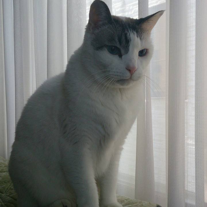 38904e5c 1eda 49a6 8101 a369679a6ef7