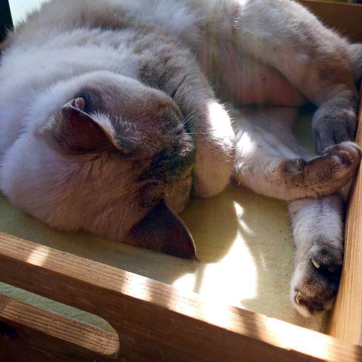 3890db0b 7a46 43c6 a5f6 1f8a3918d226