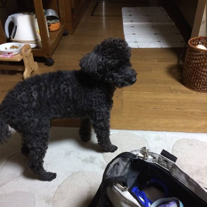 38911601 a7a5 456c b84f 815dbe0975ee