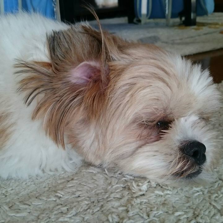 38915972 22af 4cb8 b11e bac053c0b1fa