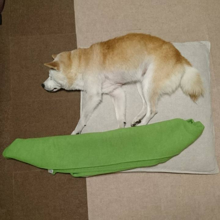 38918cb7 4c57 4dc4 879e e233a05d7bad