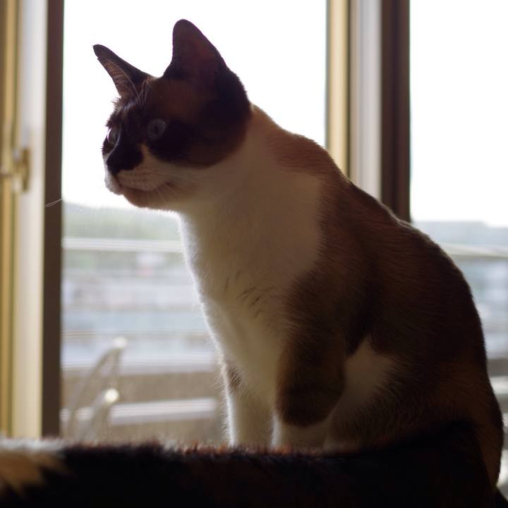 389195a8 fb36 4afc b57c 2f4af1444846