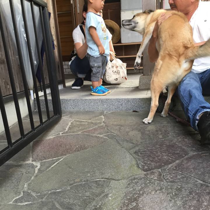 38919a6d b58a 41fd 92e7 bc8fd202db44