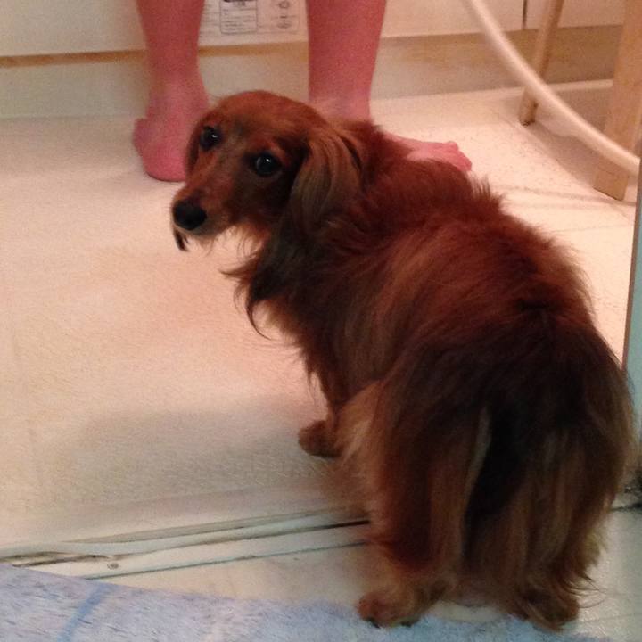 3892d5b6 e969 46da a5fa 49293f4cc42c