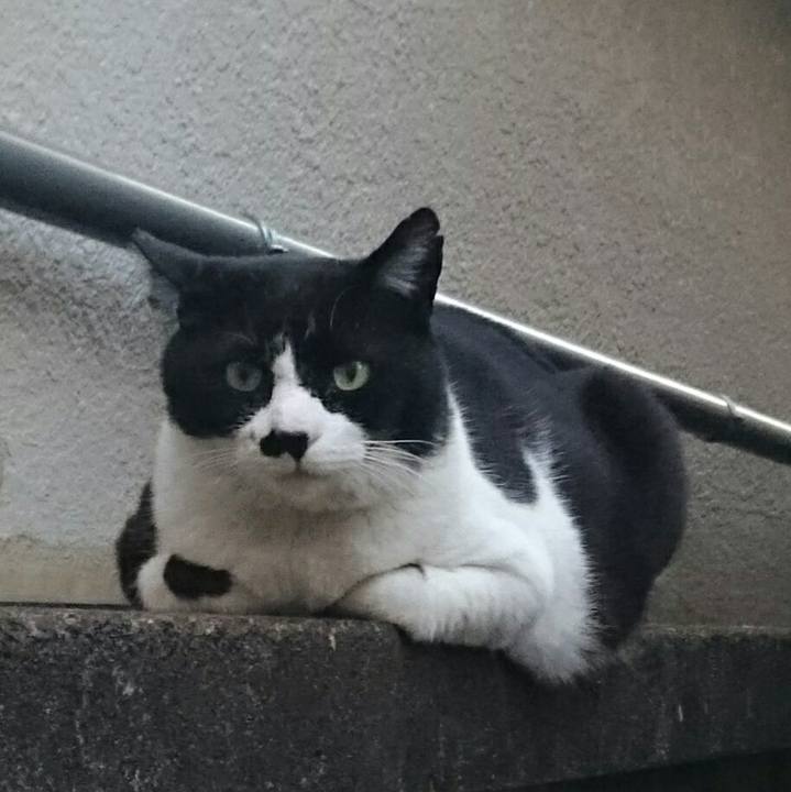 3893a272 f385 414e a85f 6c3c57923d5c