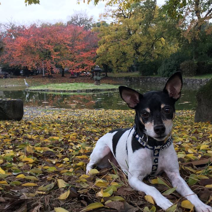 3894ae04 9410 428a a217 fb709e59b8ac