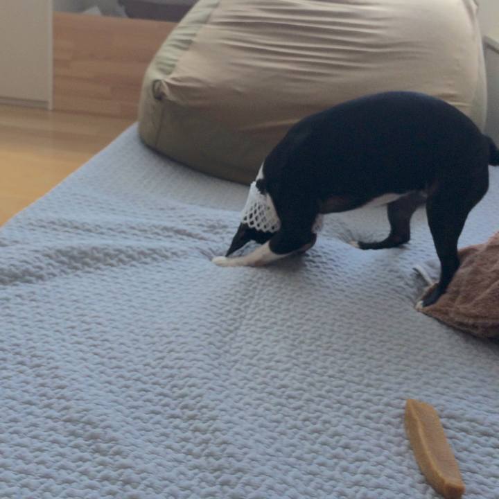 389536ec 597b 417f 8a8a 97d61c833ff1