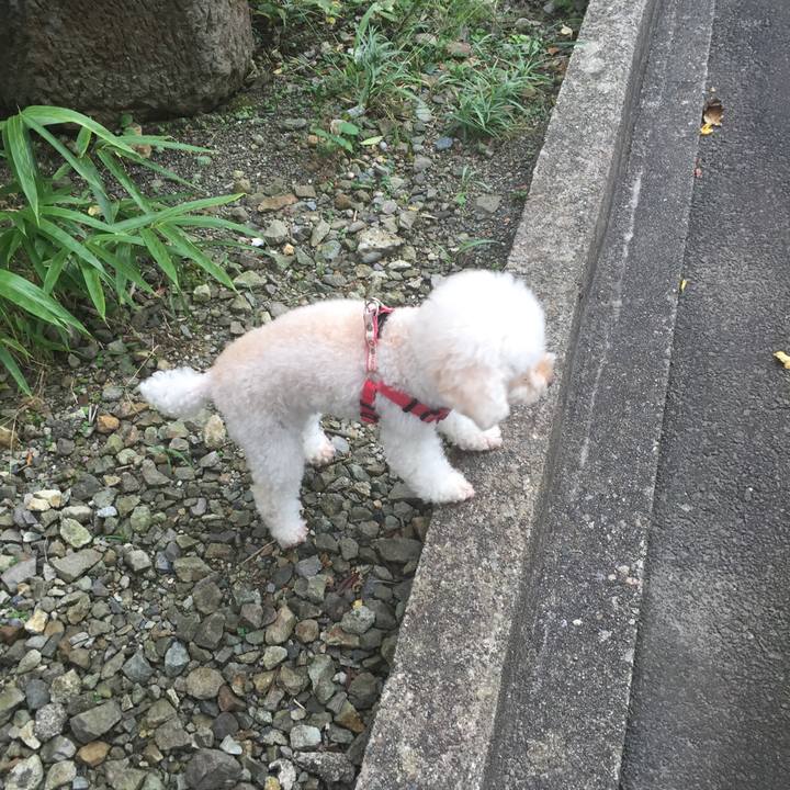 3895701c 87e5 4f4d 9812 17e057b86c4c