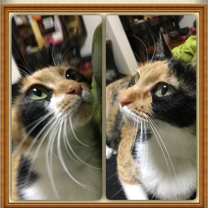 38957586 41fa 459d 8436 7db83e9c0c19