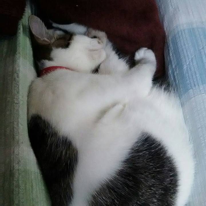 389610b3 143d 40cf 964d 18328b91e779