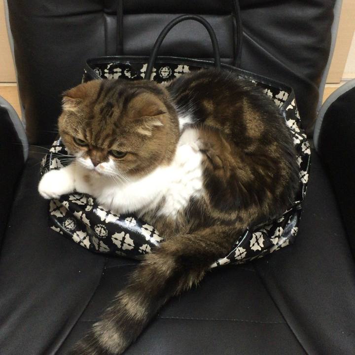 38967da9 91ca 4084 8c97 6a0e9aab6b0c