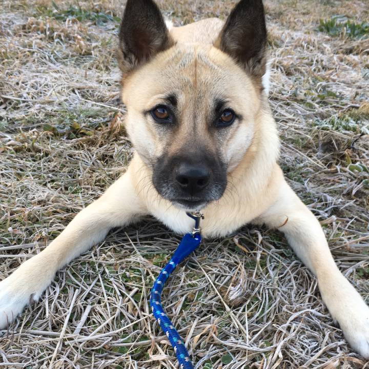 3896ea4e ef96 4189 9013 6613d65d9b69