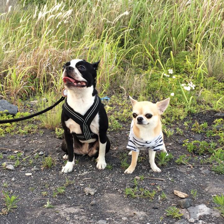 3896ea65 d5e1 4404 9571 f786badf6728