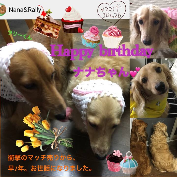 38973f28 ab9d 49c1 bae9 b525ca28260b