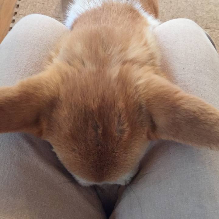 3897831b 6f2d 483a 815e 74b671e954a6