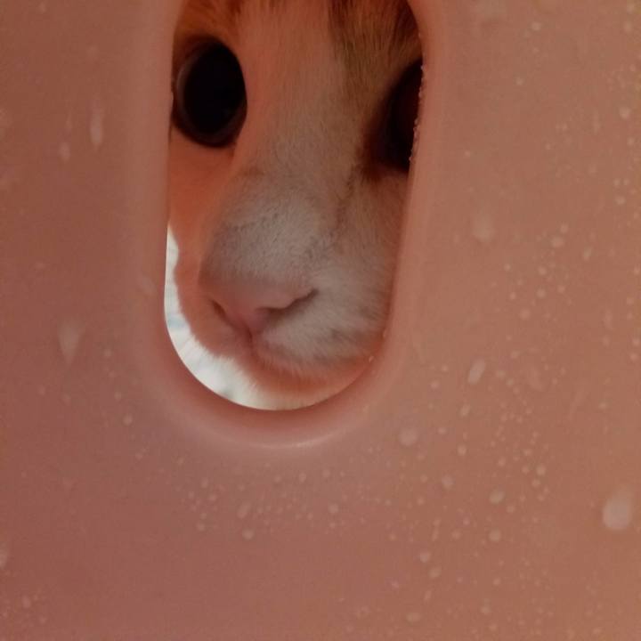 38981567 c4c2 4bad 8607 f833d669e17a