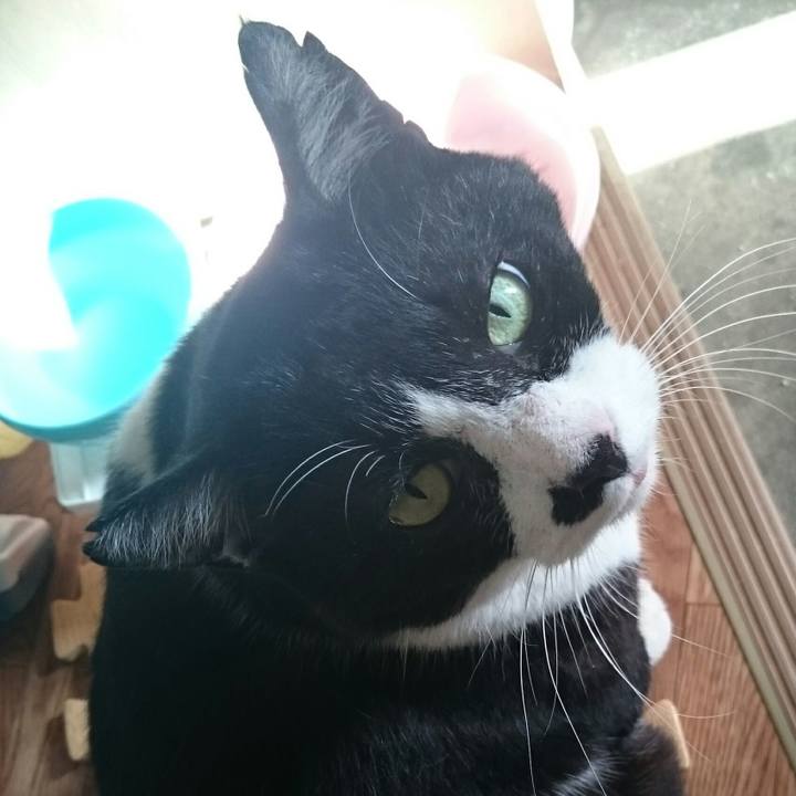 38986937 33ad 4010 9026 76925a8c049a