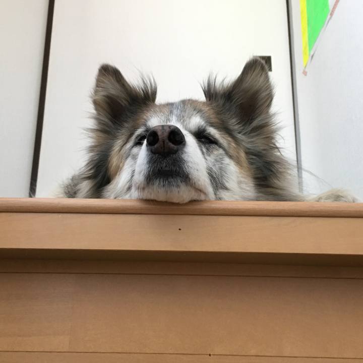 3899d4b1 fd8f 4660 a07a 569f78ad645f