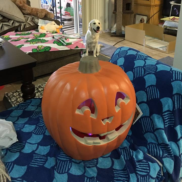 389a200f 82ee 4897 b764 367985a53d4a