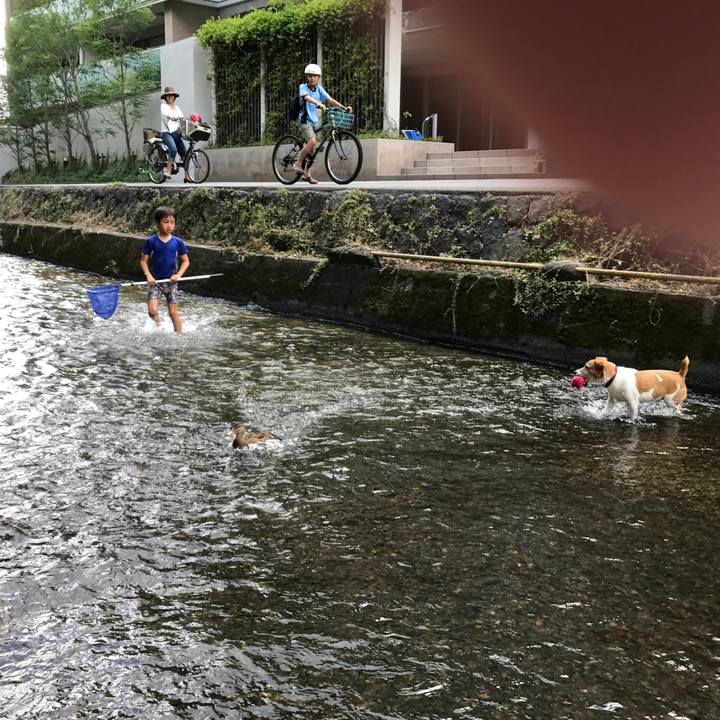 389a61f6 c3e5 4866 a62b 19ae20197ca6