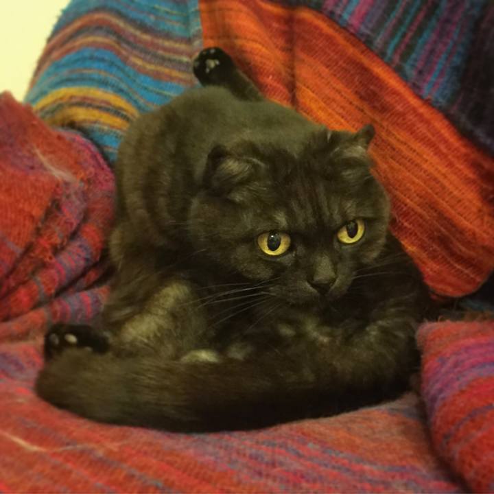 389a971f dac5 4d8b b2c9 0186cf8374e3