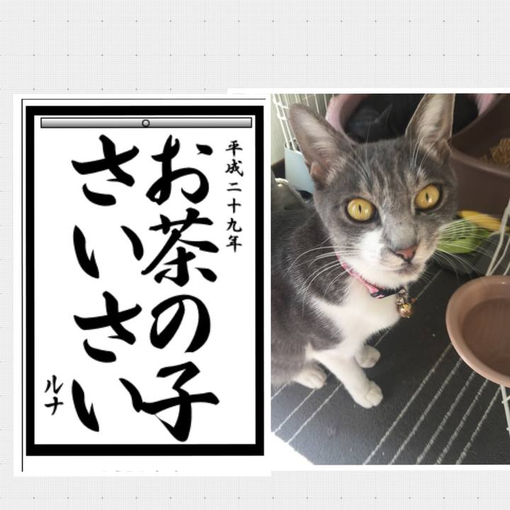 389ac20f 908c 44b5 ac81 ac223813568c